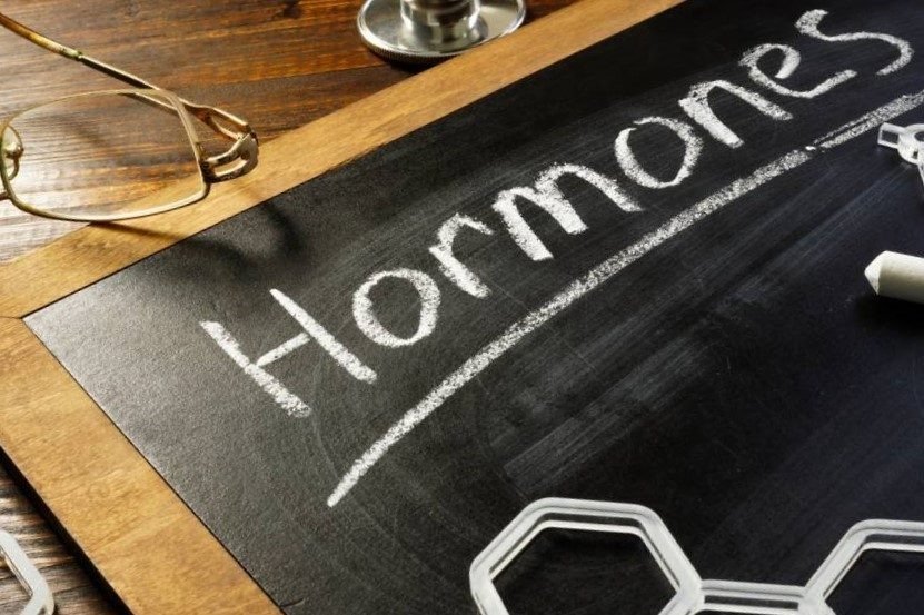 Manger des glucides le soir : mythe ou réalité ? 3 glucides le soir 2